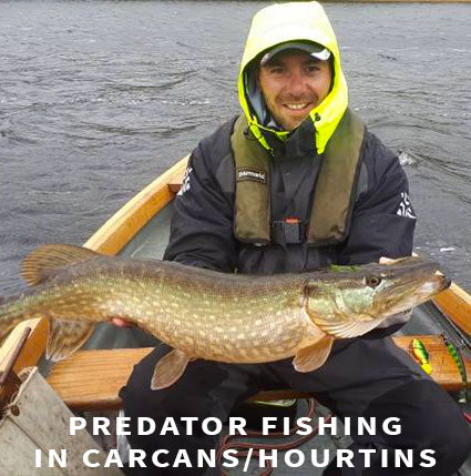 Predator fishing Arcachon